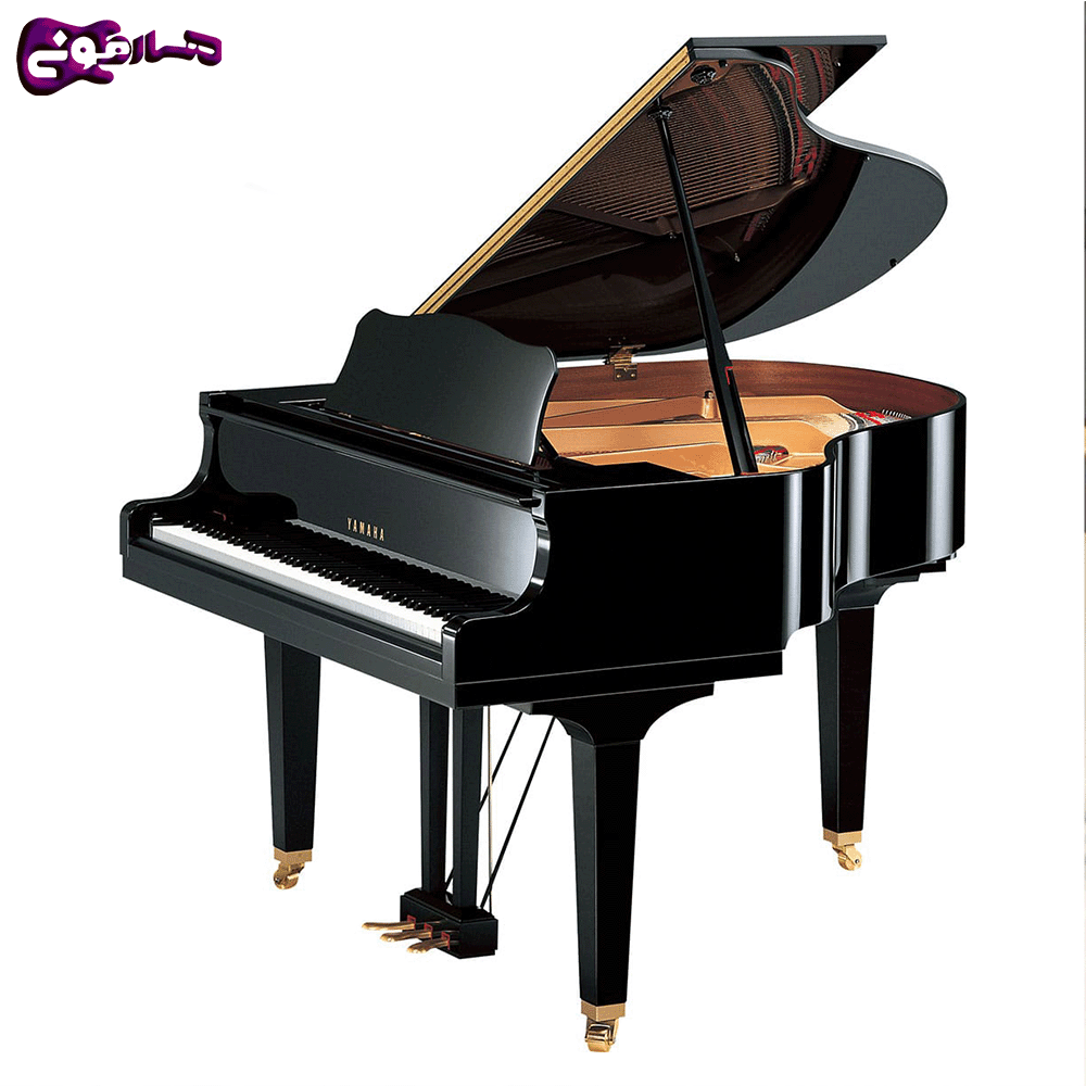 Gb1k