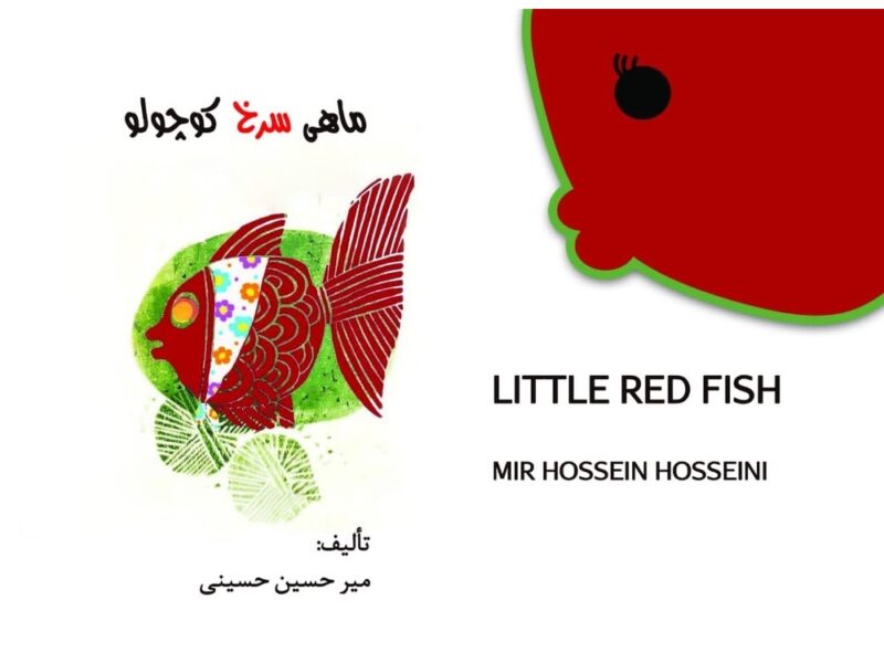 کتاب ماهی سرخ کوچولو نوشته میرحسین حسینی منتشر شد
